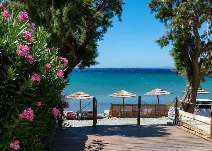 Notte Di Mare * Kardhianí